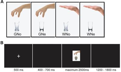 The Temporal Dynamics of Perceiving Other’s Painful Actions